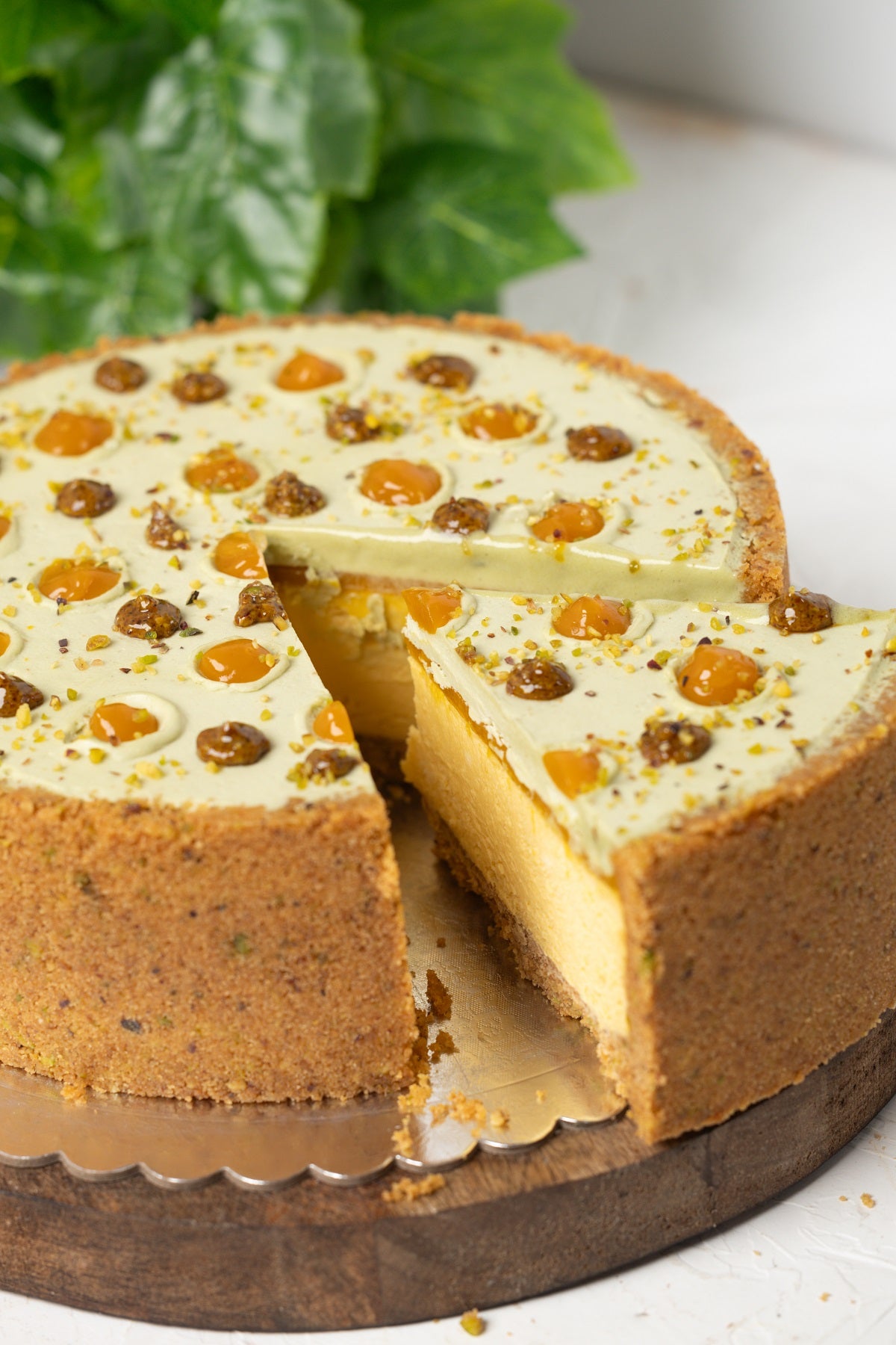 Mango & Pistachio Cheesecake