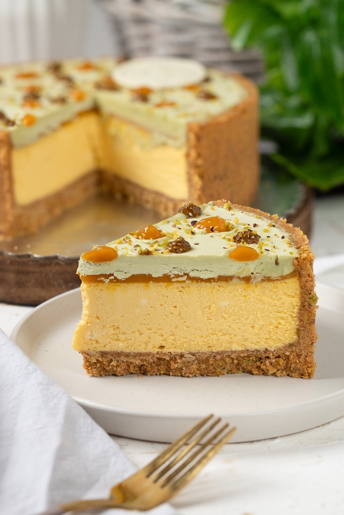 Mango & Pistachio Cheesecake